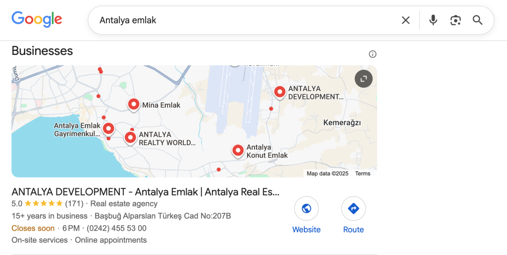 SEO Türleri Nelerdir?